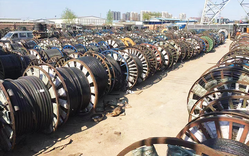 企业外观或荣誉展示