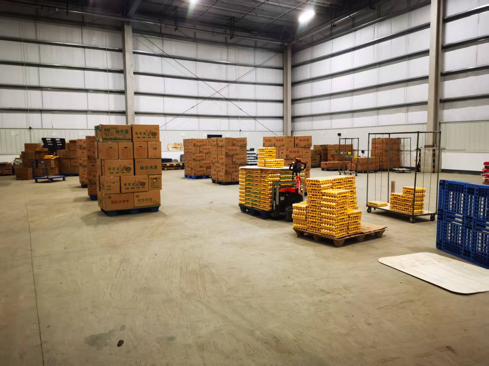 浩利农业散养土鸡蛋产品图