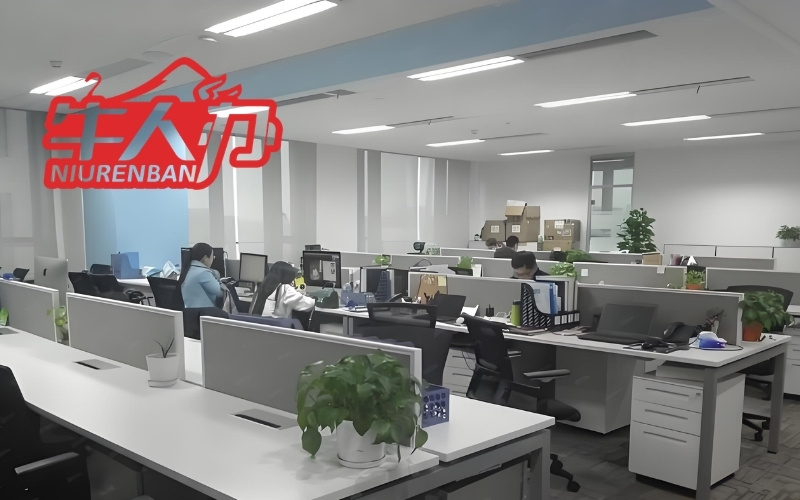 签证办理核心选择维度思维导图