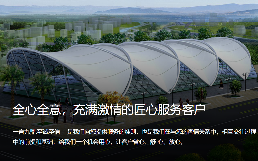 大型体育场膜结构实景