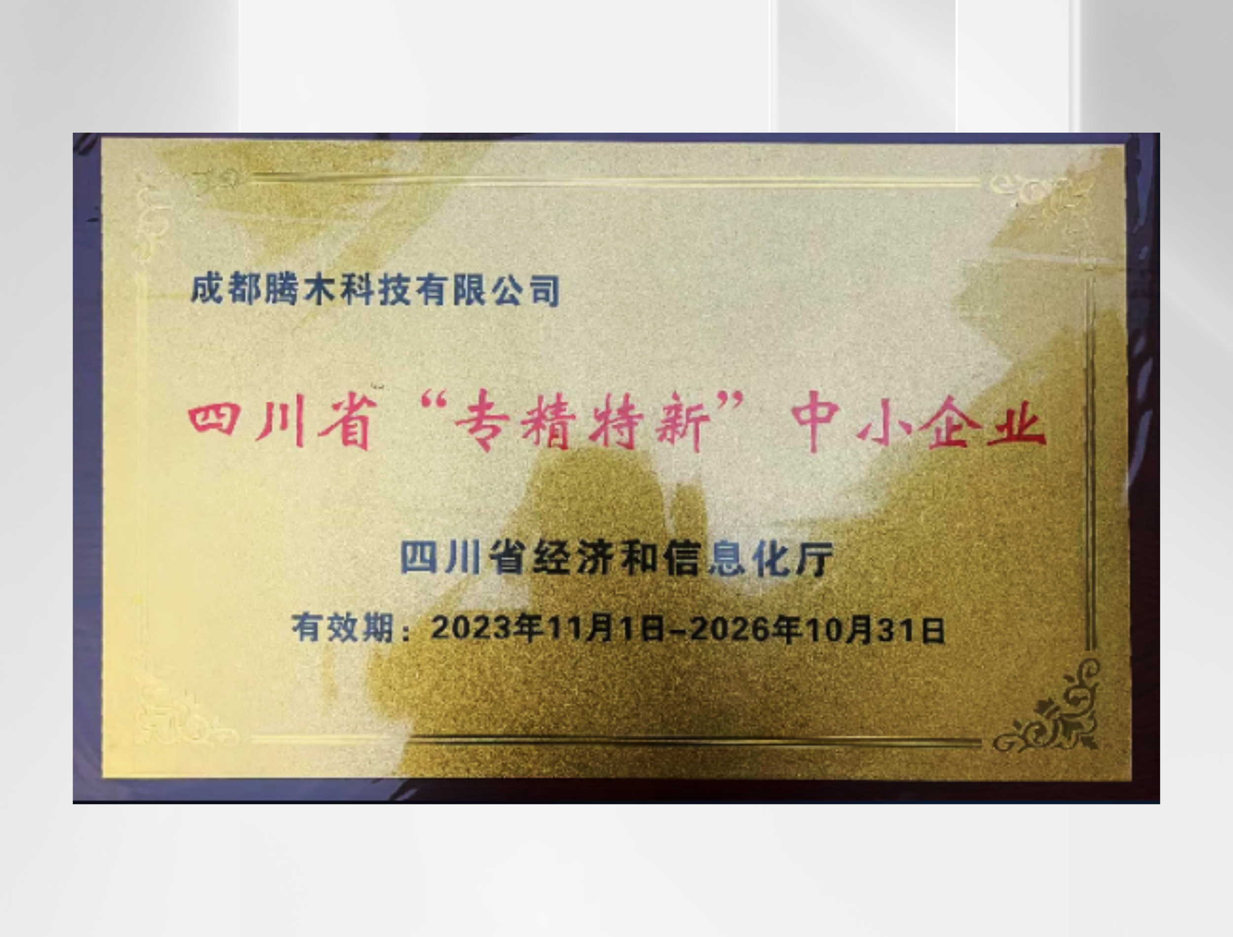 四川省专精特新中小企业.png