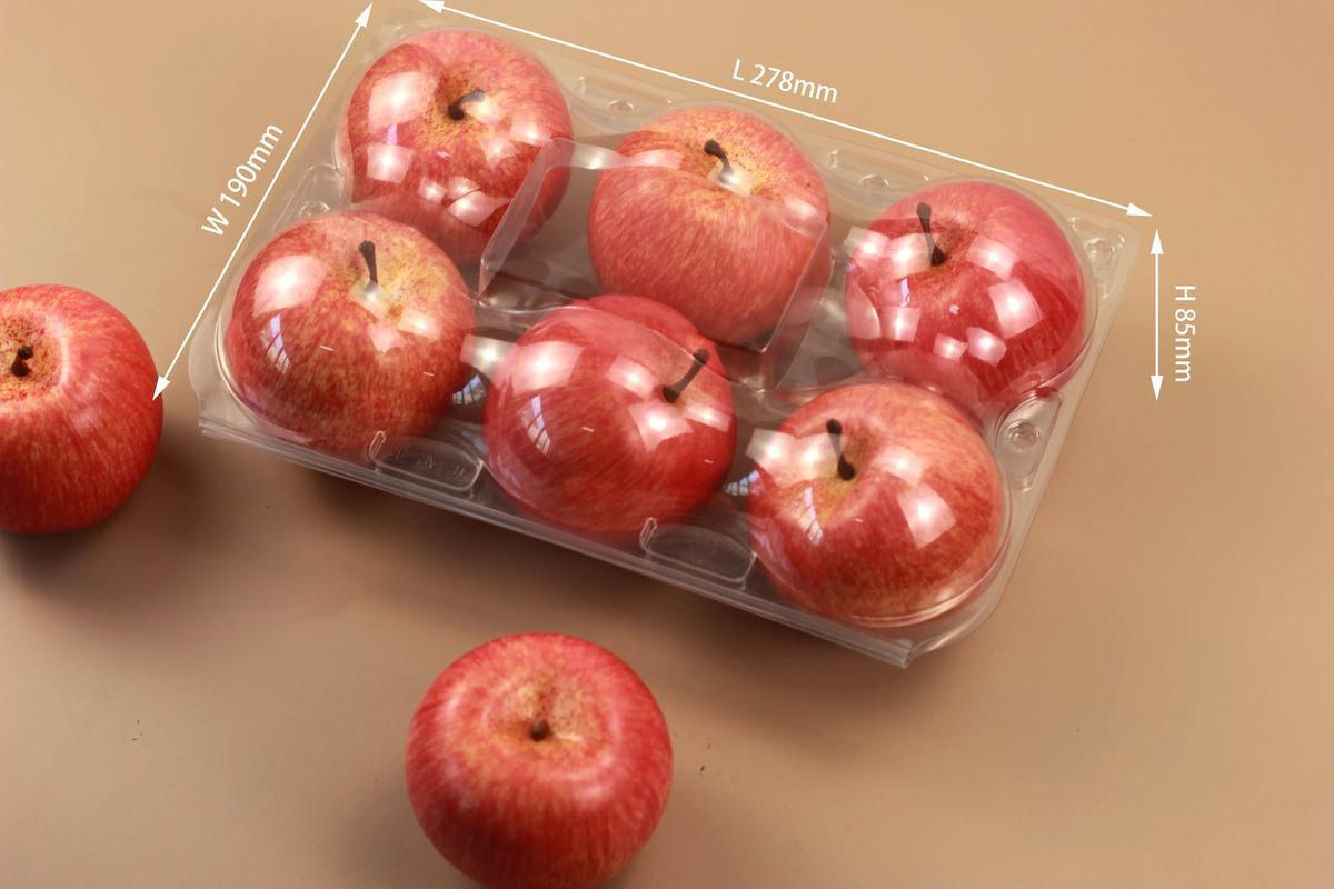 技术研发与质控概念图