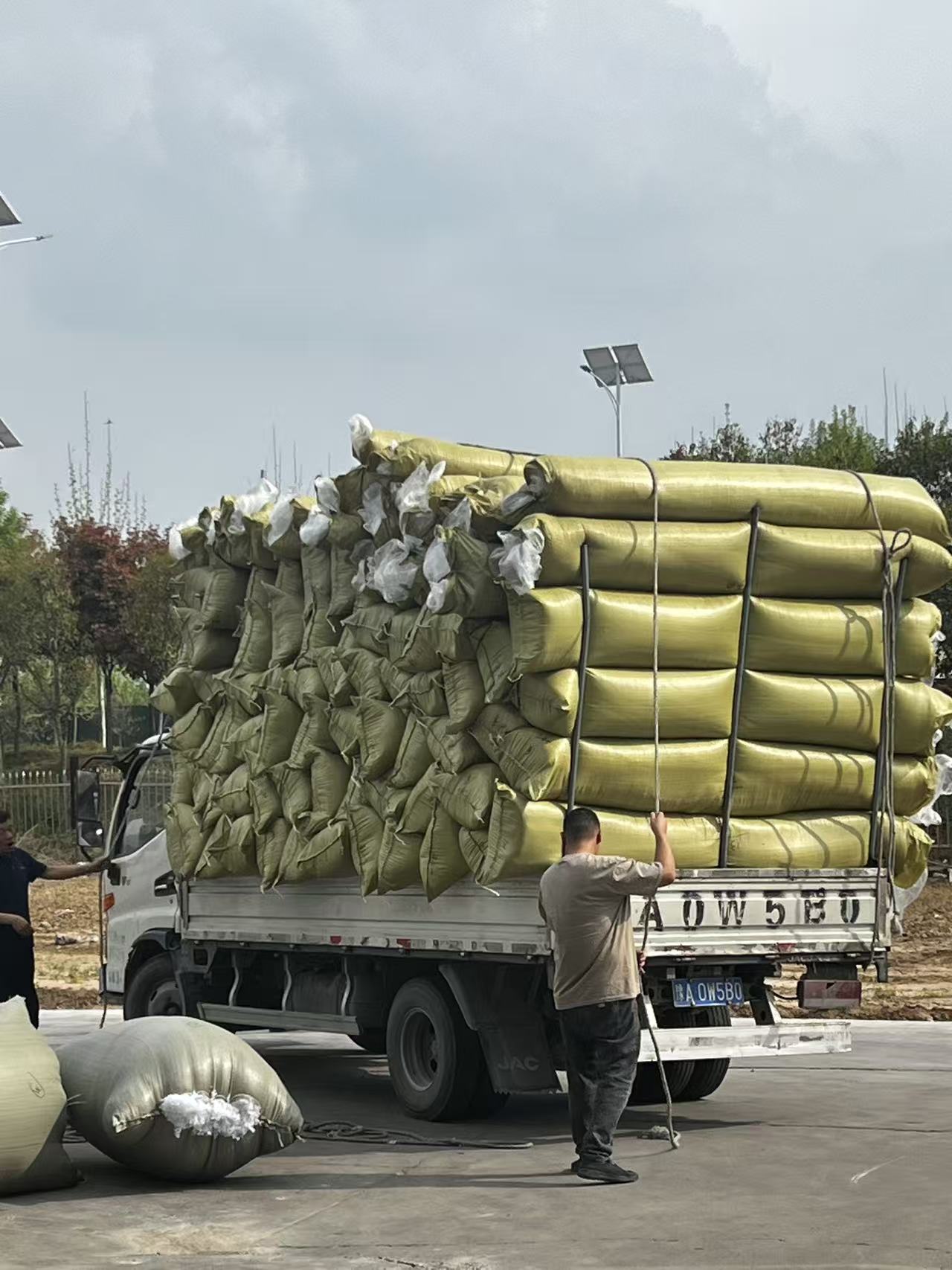 羽绒棉多样化应用场景