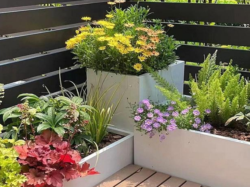 多样化花箱展示