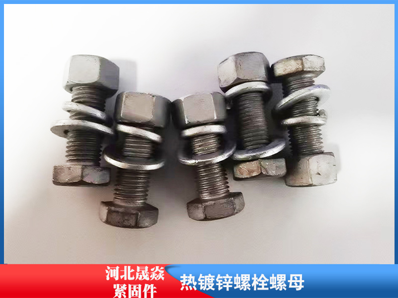 螺栓螺母2.jpg