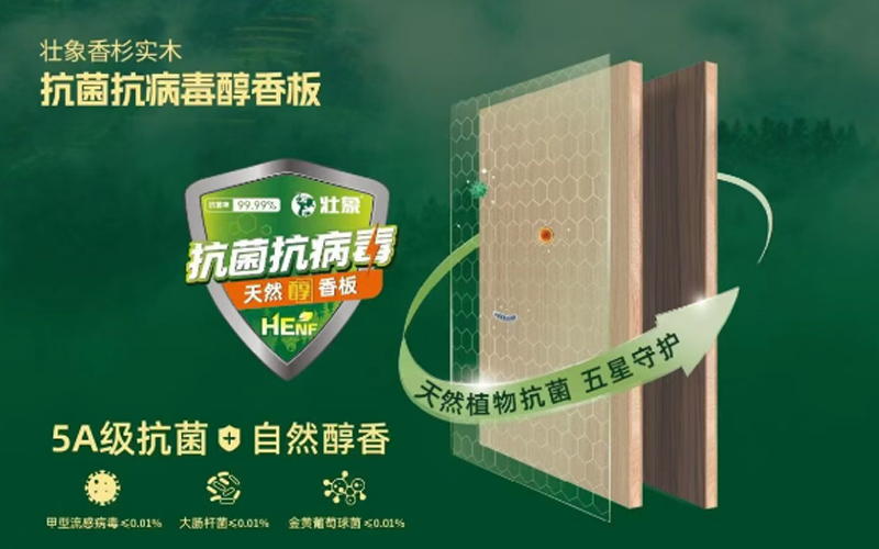 壮象.png