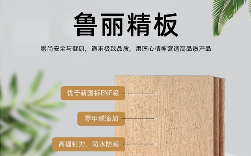 鲁丽.png
