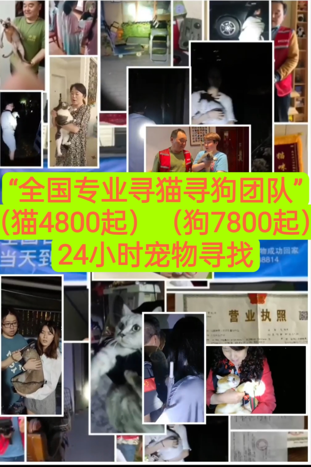柯南寻宠