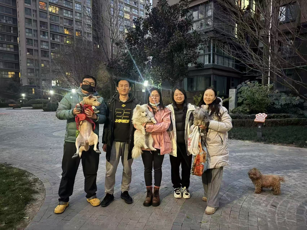 柯南寻宠