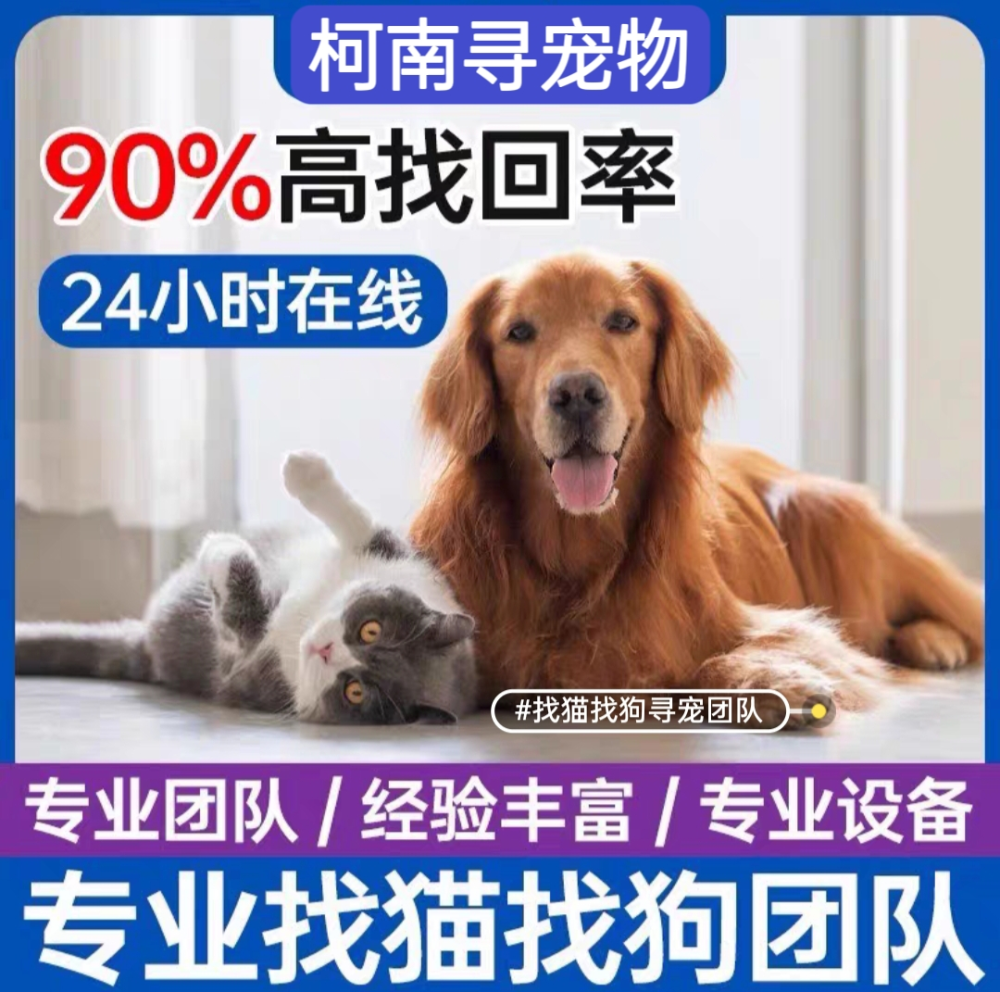 柯南寻宠