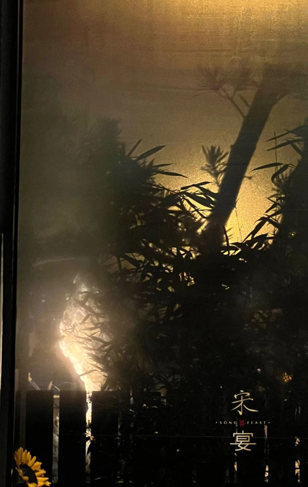 301788844118_.pic_hd.jpg