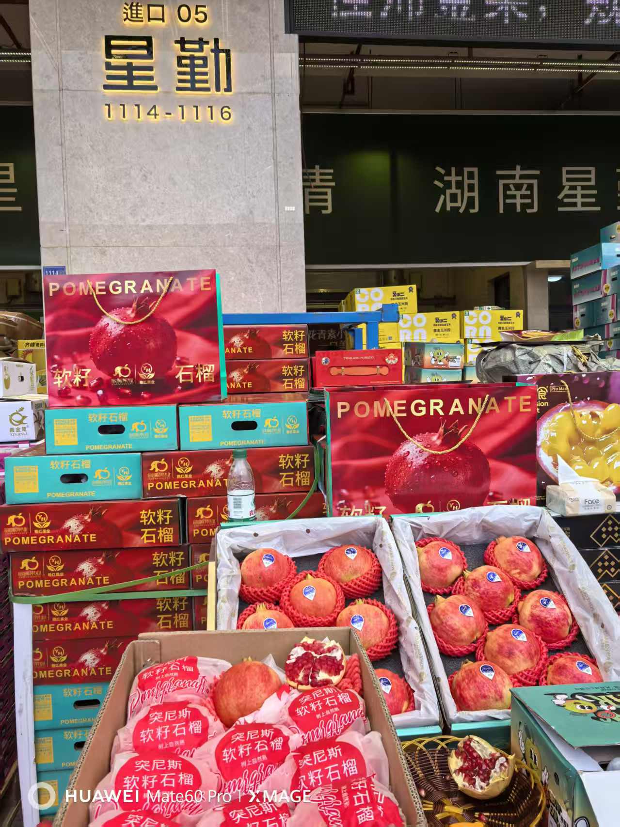 宸晞耙耙柑果园实景