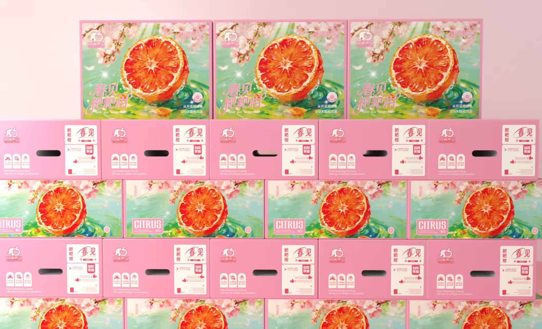 宸晞耙耙柑糖度检测