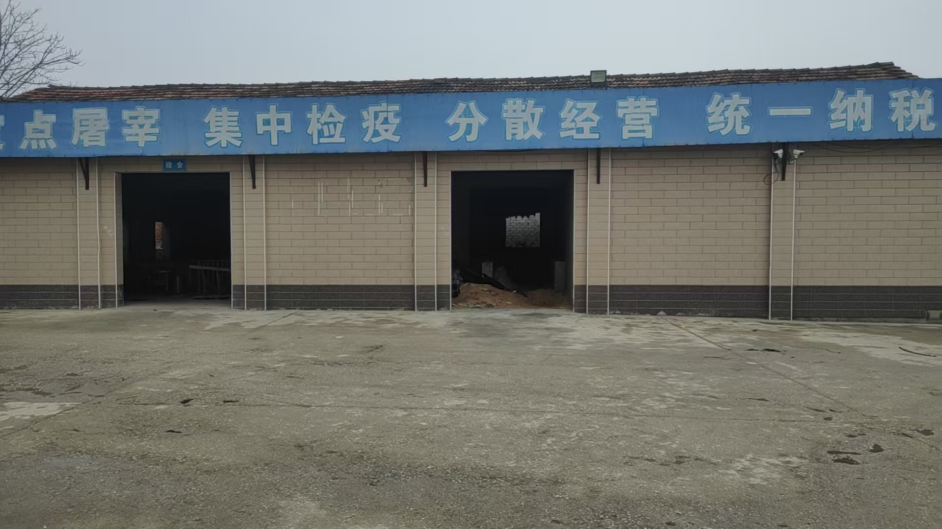 猪副产品加工车间