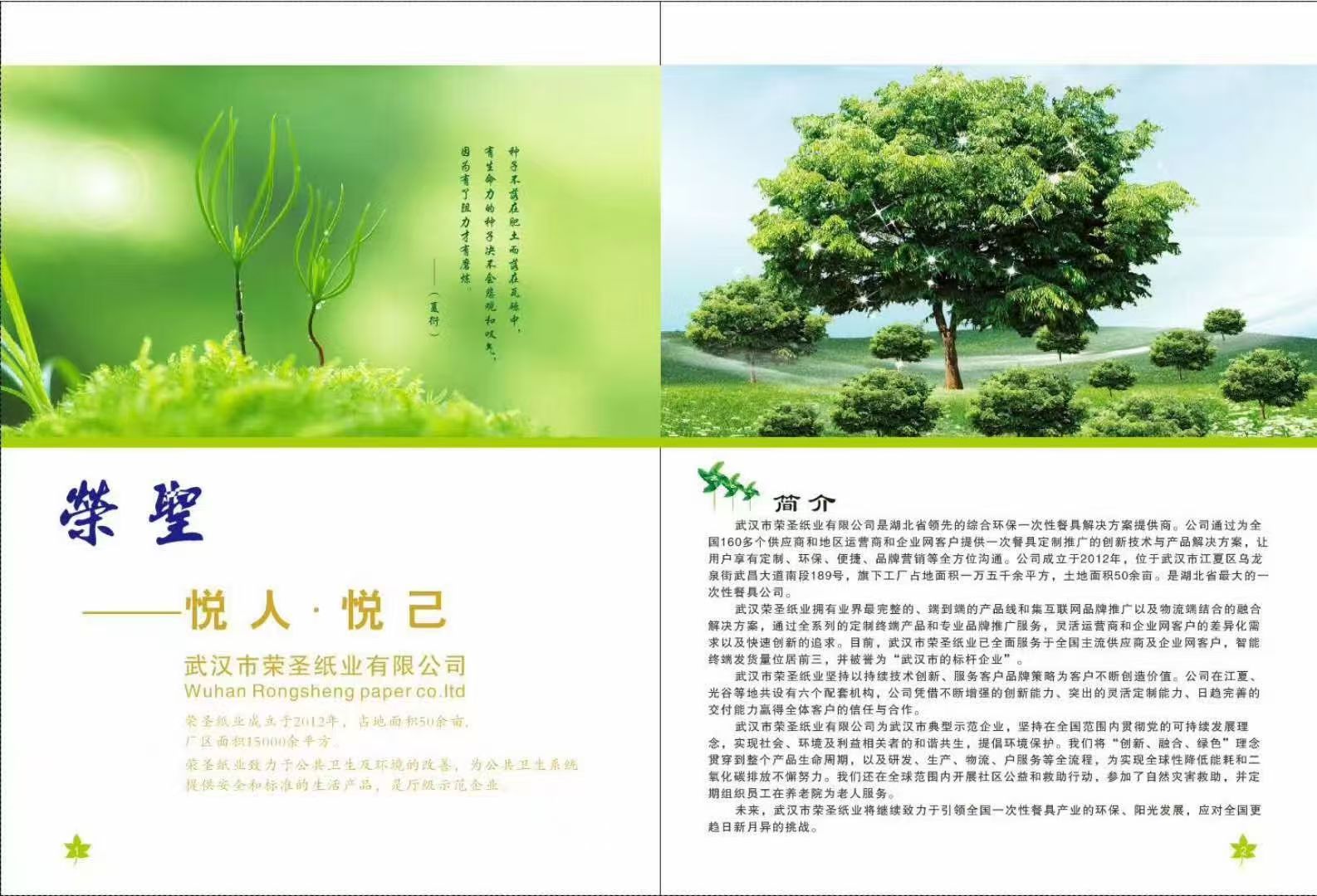 武汉市荣圣纸业有限公司环保餐具生产车间