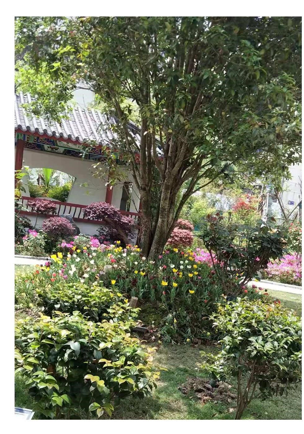 武汉华侨城欢乐谷项目局部景观