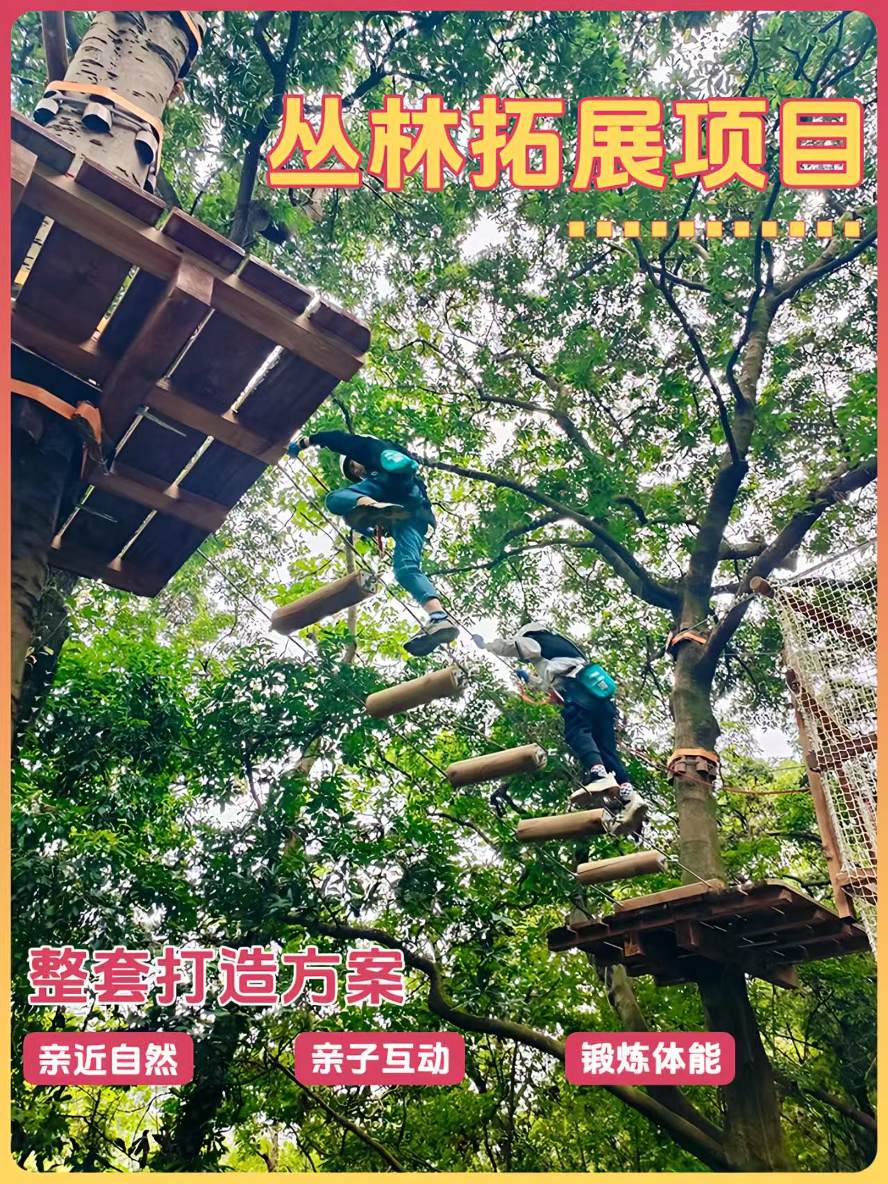 丛林魔网项目实景图