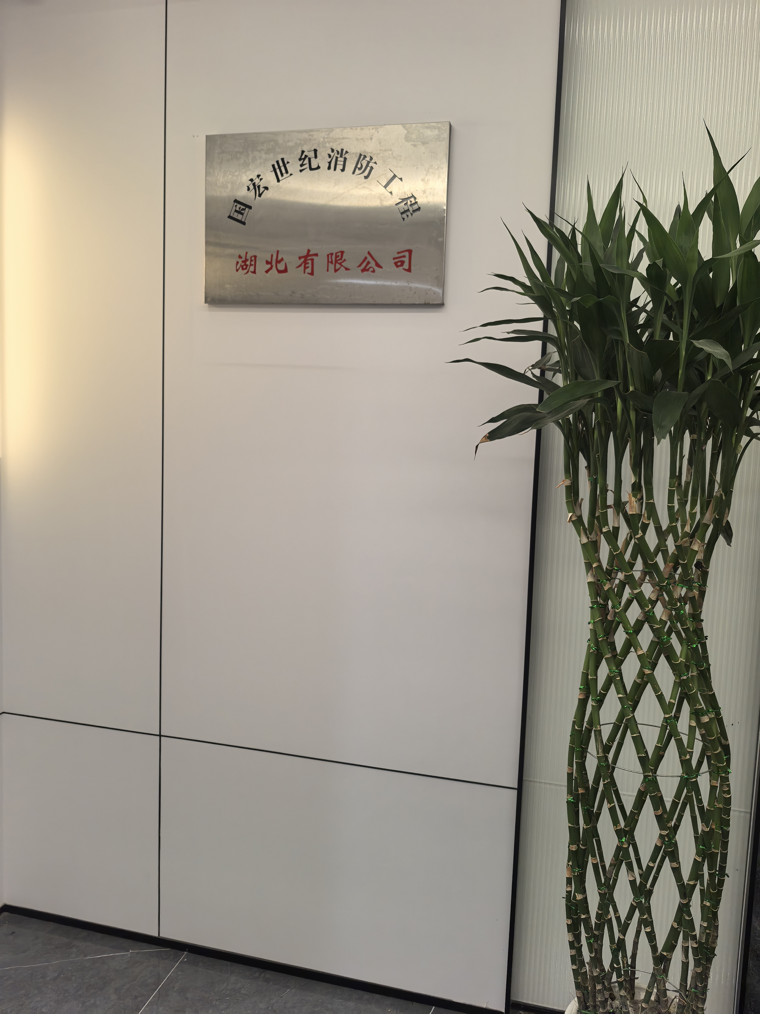 专业的消防系统检测